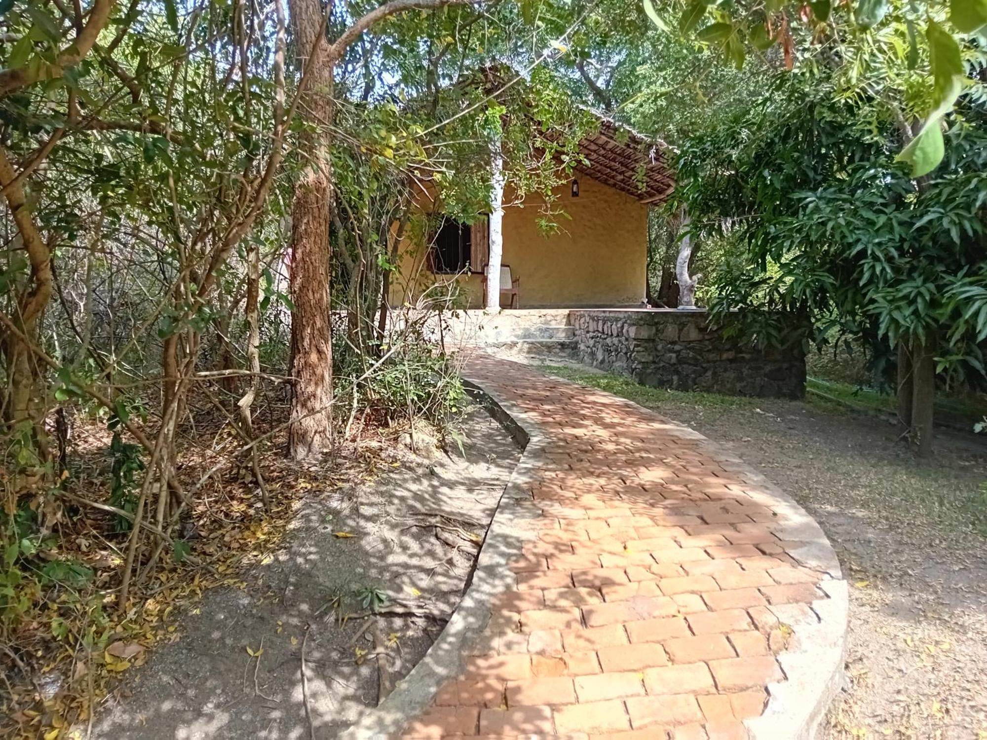 Wild Wadi Wilpattu - Villas With Private Plunge Pools Exterior photo